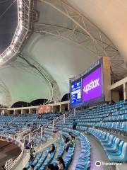 Dubai International Cricket Stadium