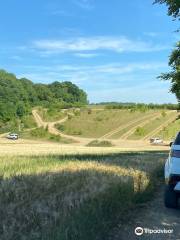 Land Rover Experience London