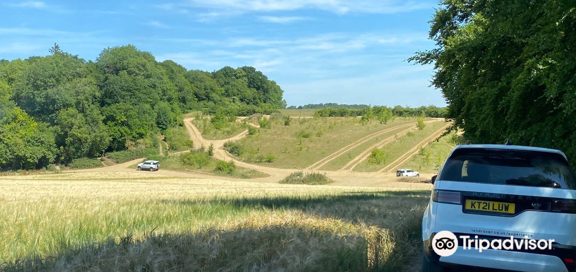 Harpenden Rural Travel Guide 2024 Things to Do, What To Eat & Tips