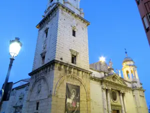 Basilica Minor of St Ildefonse