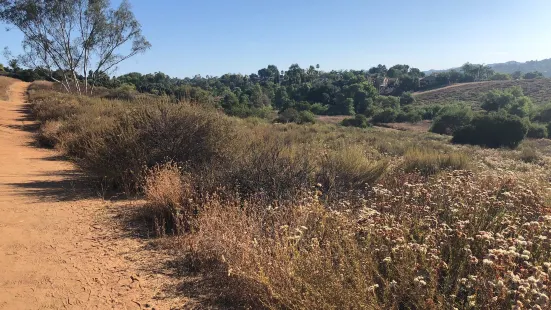 Kit Carson Park