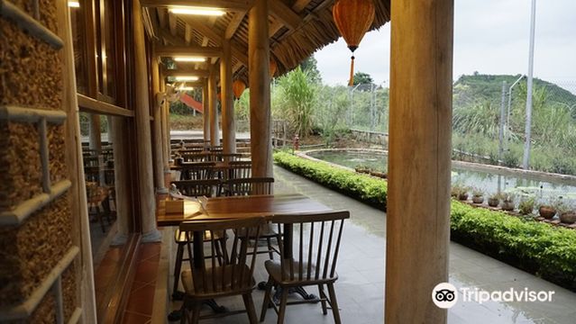 Ninh Binh Bear Sanctuary