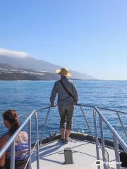 OceanExplorer La Palma