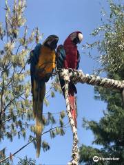 Polonezkoy Zoo - Natural Life Park