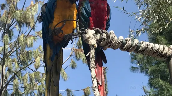 Polonezkoy Zoo - Natural Life Park