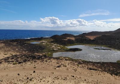 Isla de Lobos