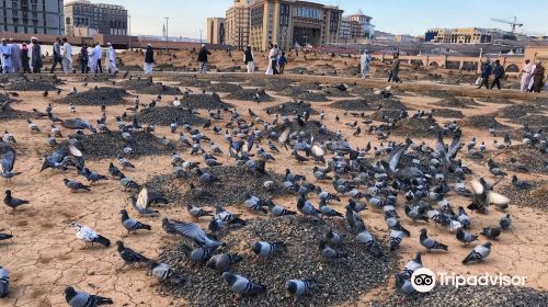 Jannatul Baqi