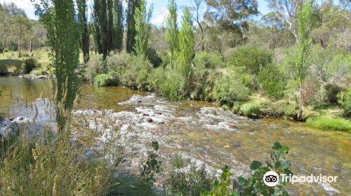 Gaden Trout Hatchery