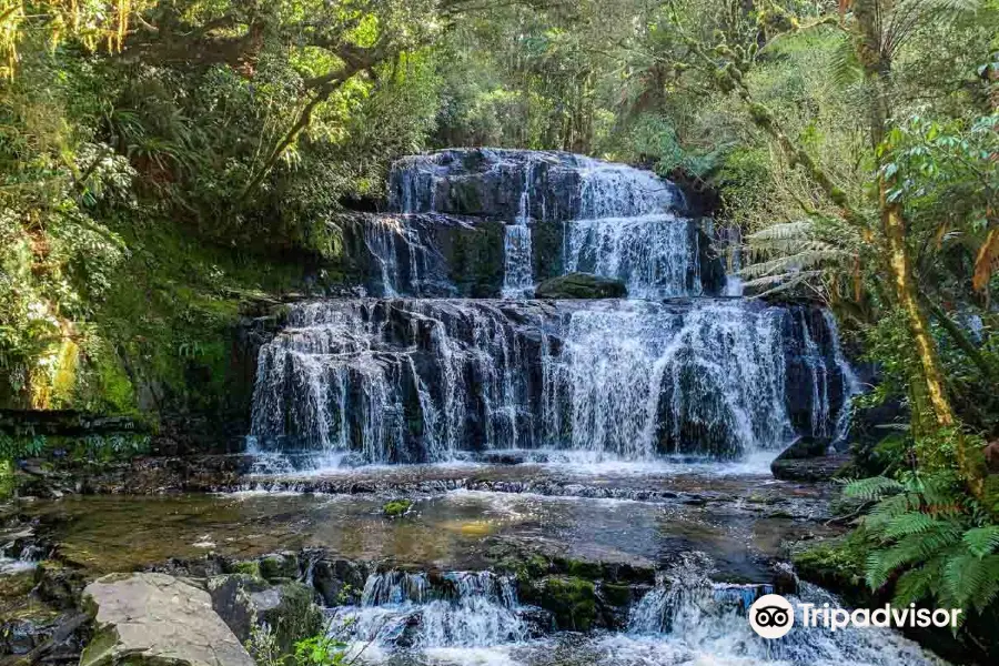 Purakaunui Falls