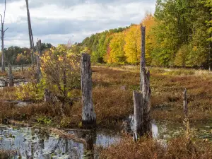 Sandy Ridge Reservation