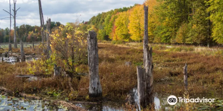 Sandy Ridge Reservation