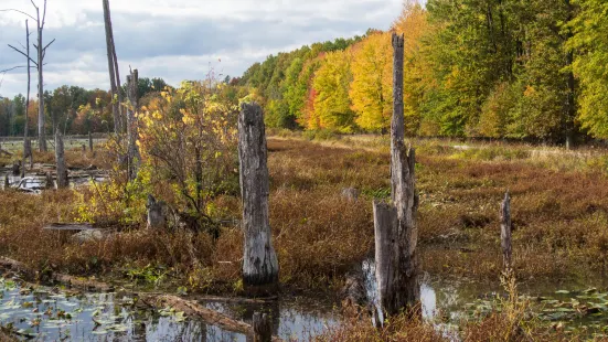 Sandy Ridge Reservation