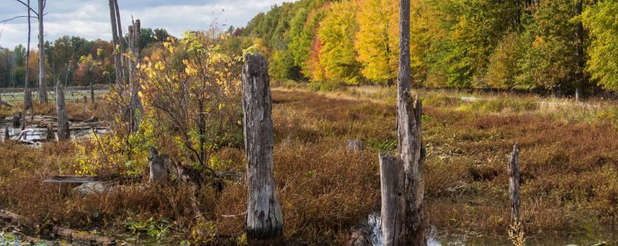 Sandy Ridge Reservation