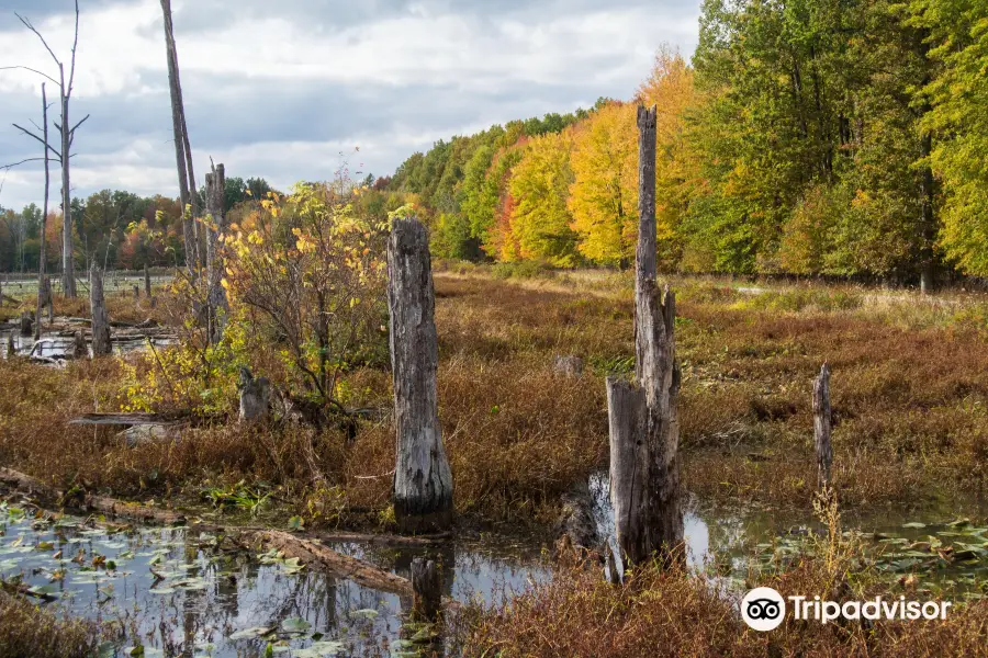 Sandy Ridge Reservation