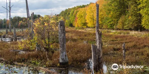 Sandy Ridge Reservation