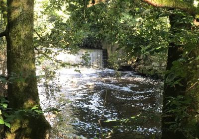 Haughton Dale Nature Reserve