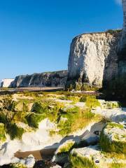 Botany Bay Beach