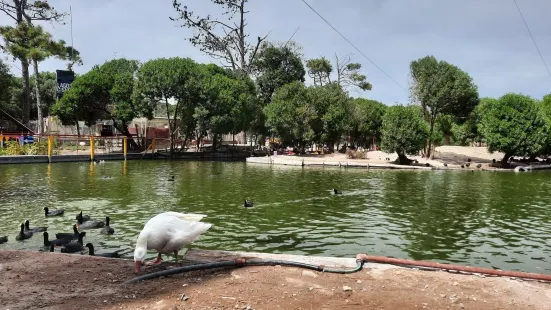 Lago de los Cisnes