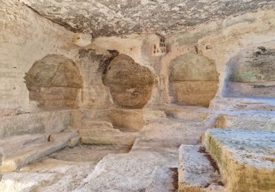 Abbey of Saint-Roman (L'abbaye de Saint-Roman)