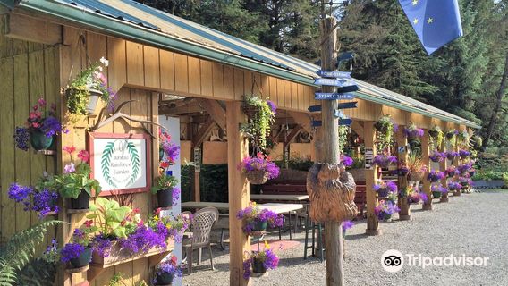 Juneau Rainforest Garden