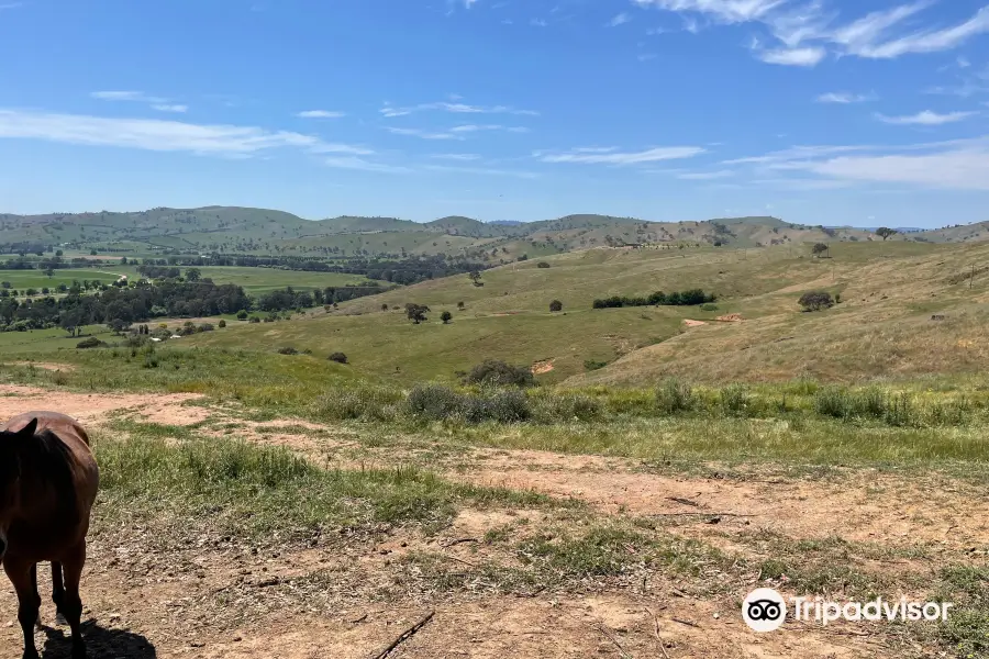 Gundagai Rotary Lookout