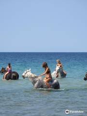 THASSOS HORSE CLUB