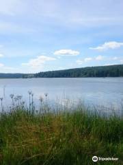 Torbeyevo Lake