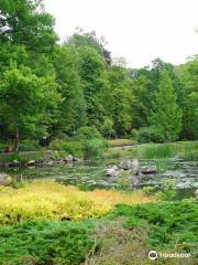 Japanese Garden - Szczytnicki Park