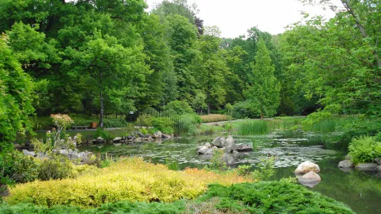 Japanese Garden - Szczytnicki Park