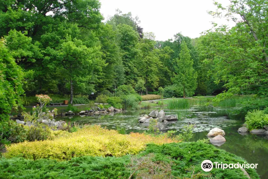 Japanese Garden