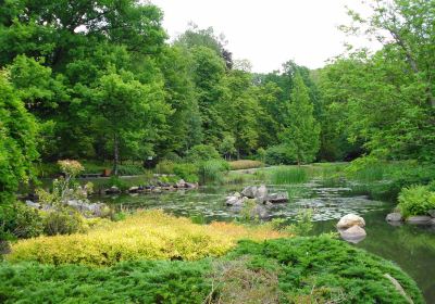 Japanischer Garten