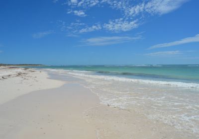 Back Beach Lancelin