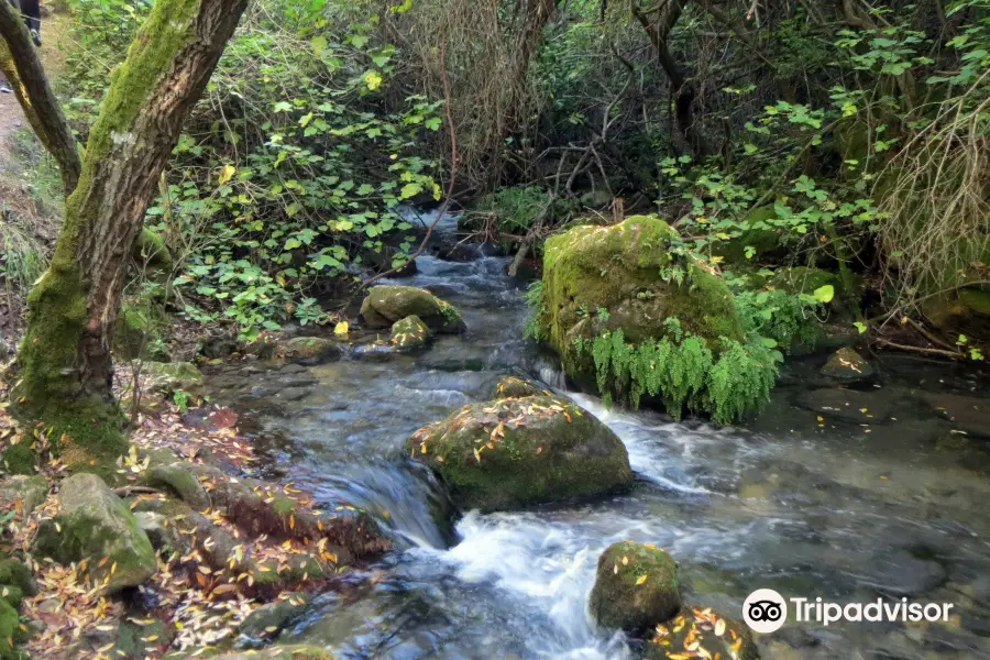 Sendero Rio Majaceite