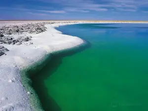 Laguna Cejar