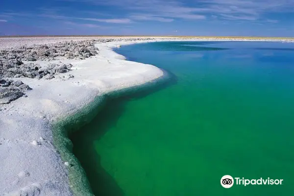 Laguna Cejar