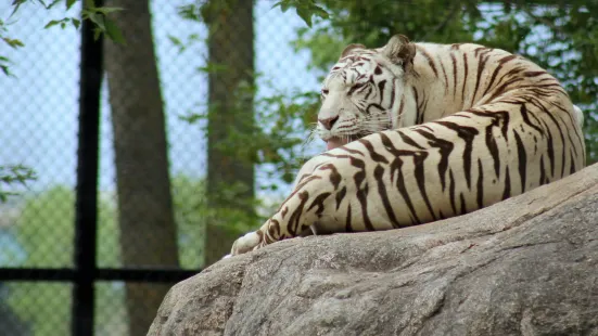 ダコタ動物園