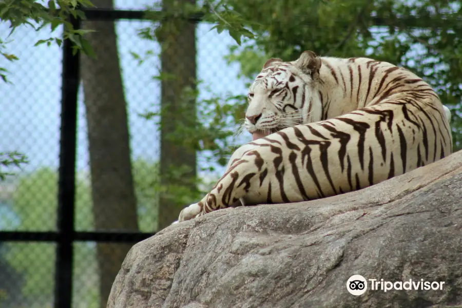 ダコタ動物園