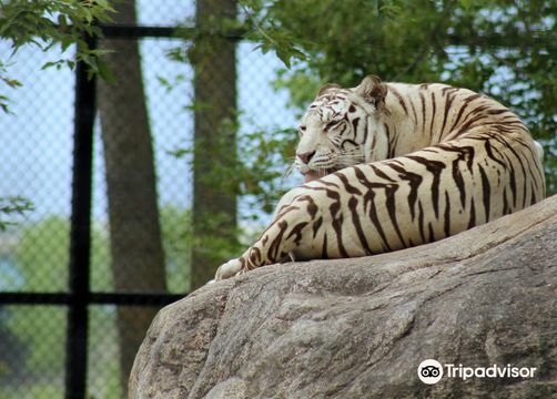 Dakota Zoo