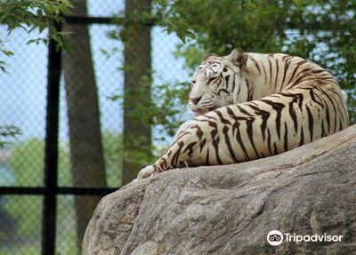 Dakota Zoo