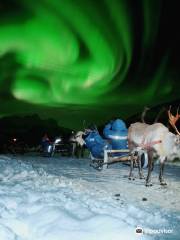 Tromso Lapland