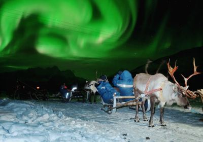 Tromso Lapland