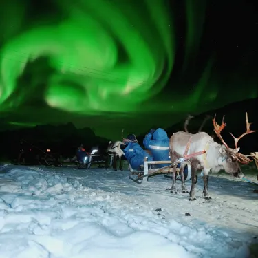 Tromso Lapland