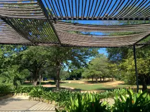 Jardin Botanico de Maracaibo