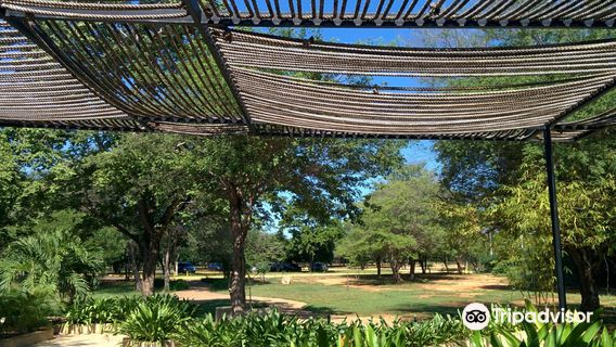 Jardin Botanico de Maracaibo