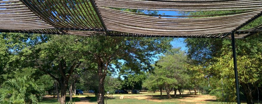Jardin Botanico de Maracaibo