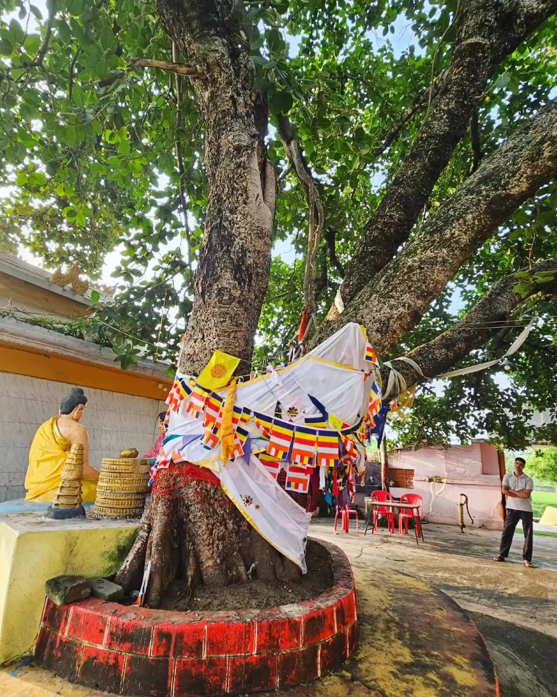 Hotels near Sujata Kuti