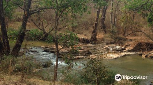 Lilongwe Nature Sanctuary