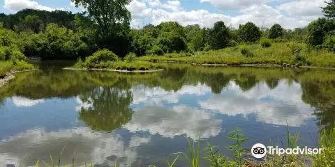 Willowbrook Wildlife Center Clinic