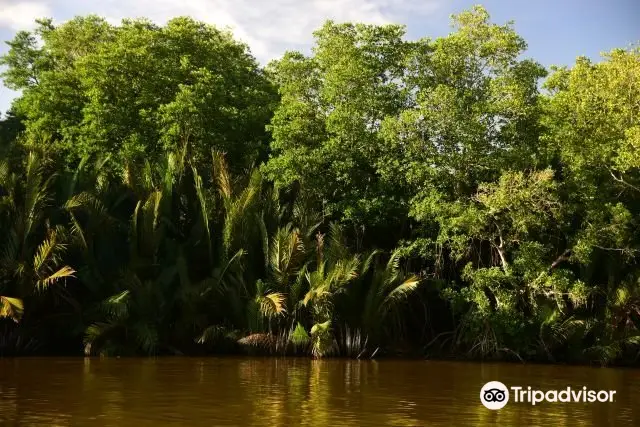 Brunei River Cruise