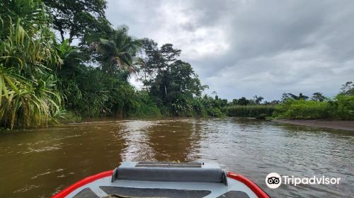 Tortuguero National Park